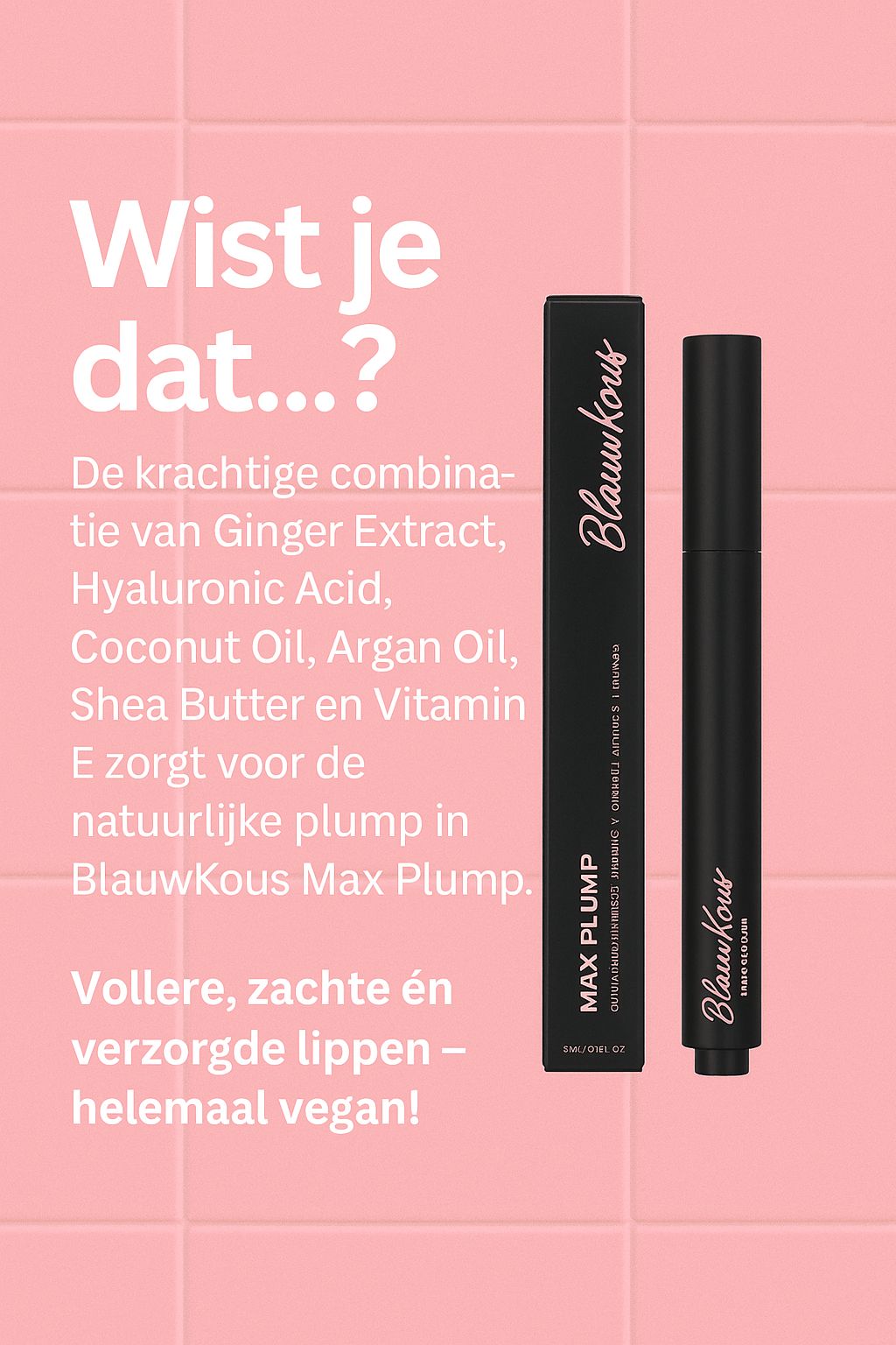 Blauwkous MAX PLUMP